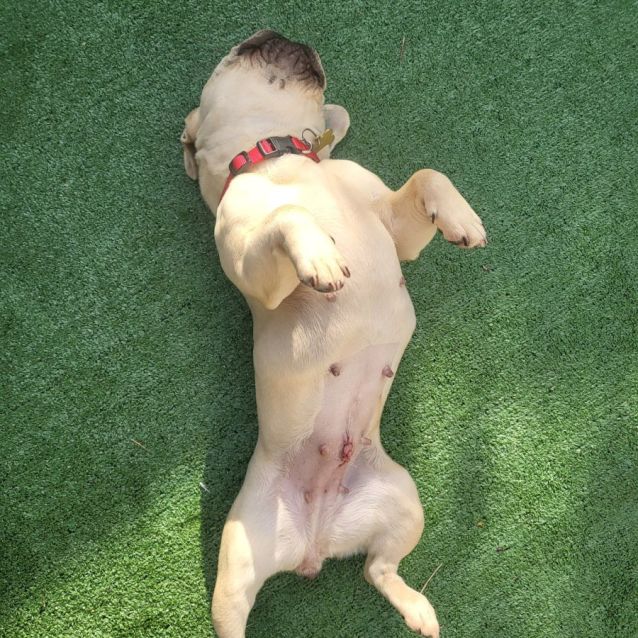 Photo of Crepe Suzette