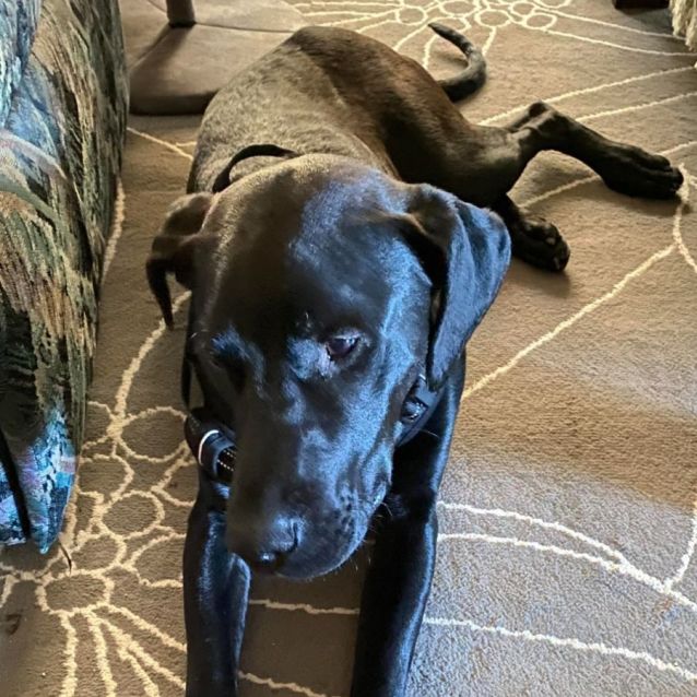 Photo of Storm
