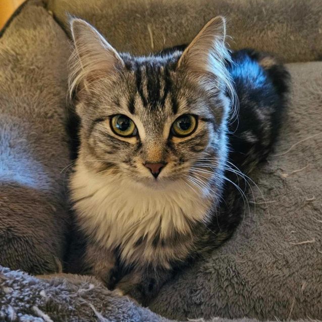 Photo of James Bond And Miss Moneypenny