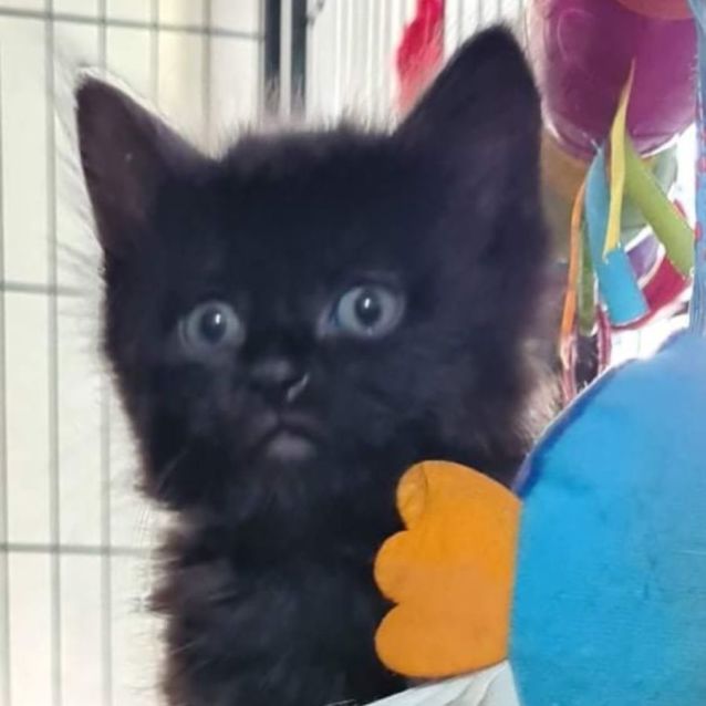 Photo of Betty