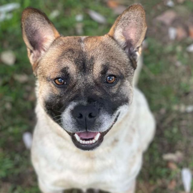 Photo of Chase
