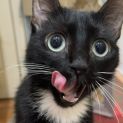 Photo of Wednesday