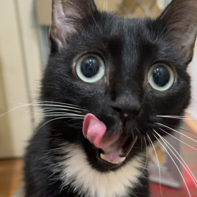 Photo of Wednesday