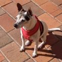Photo of Mitzi