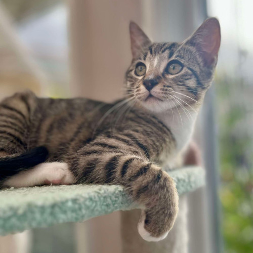 ❤️ Marlee ❤️