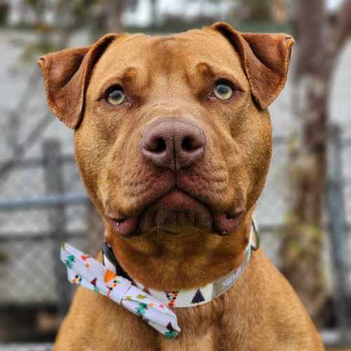 🏆 Sawyer 5076  🏆