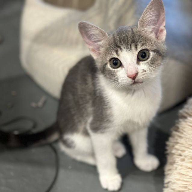 Photo of Tiny & Spice