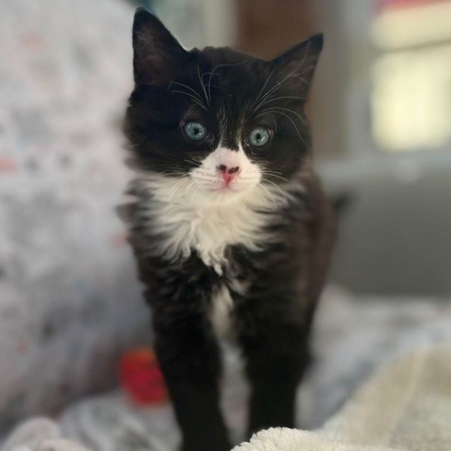 Photo of 🖤 Jonty 🖤