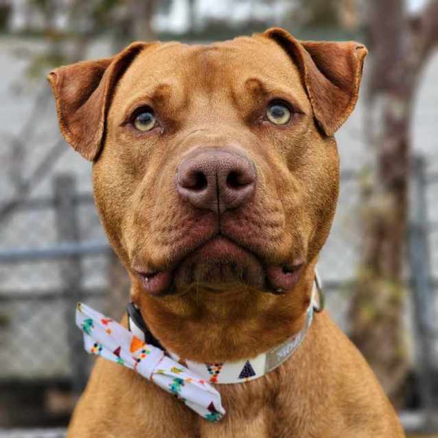 Photo of 🏆 Sawyer 5076  🏆