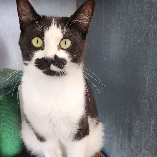 Photo of Woody And Buzz