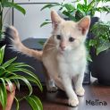 Photo of Melina