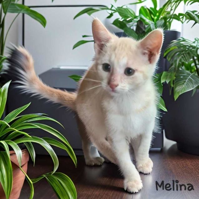 Photo of Melina