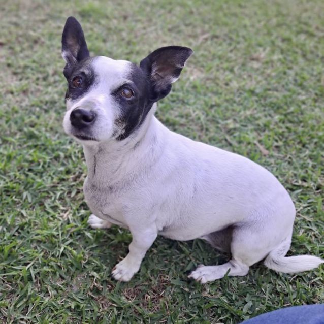 Photo of Jezzy ❤️🐶