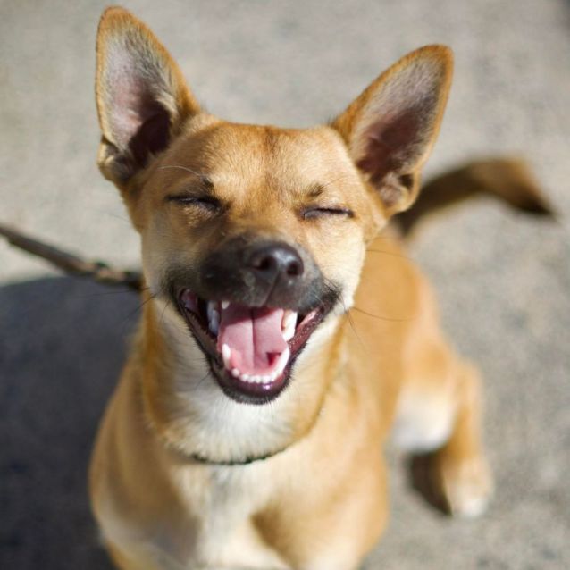 Photo of 💜 Cisco 💜