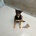 Photo of Mae