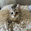 Photo of Betty