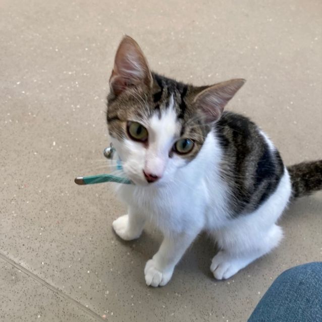 Photo of C1207 George