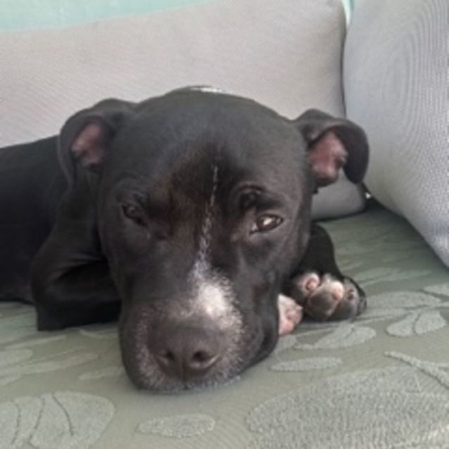 Photo of Max