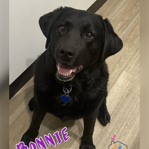 Photo of Bonnie