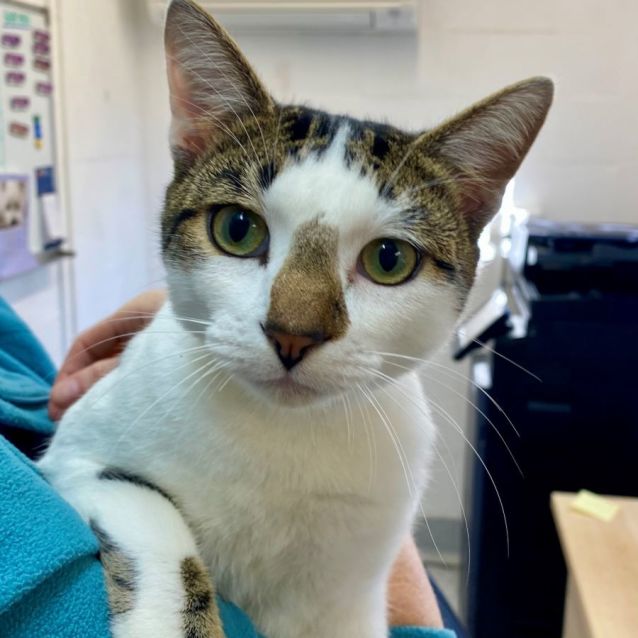 Photo of C1317 Thommo