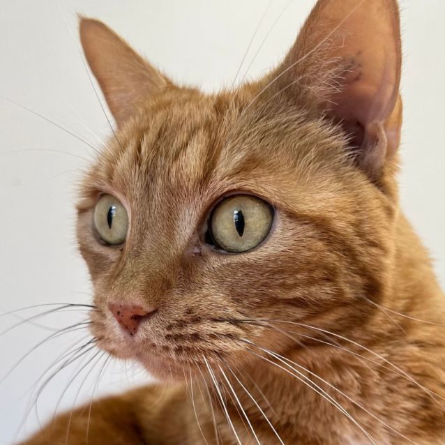 Photo of Doris