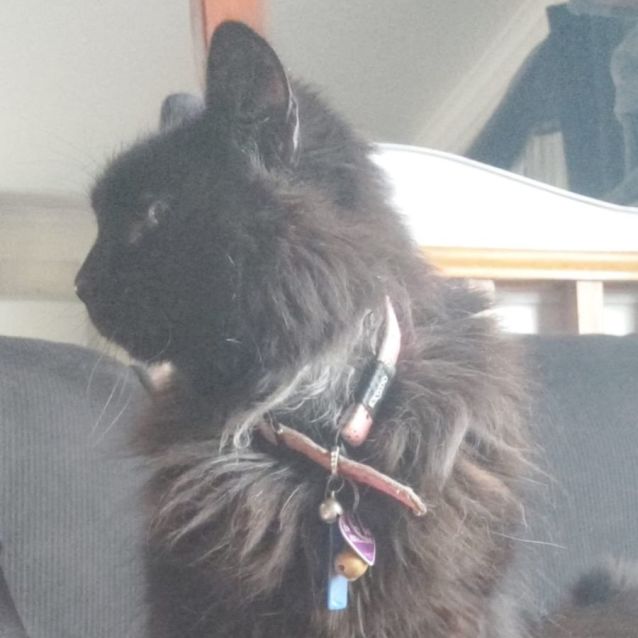 Photo of Thelma And Louise