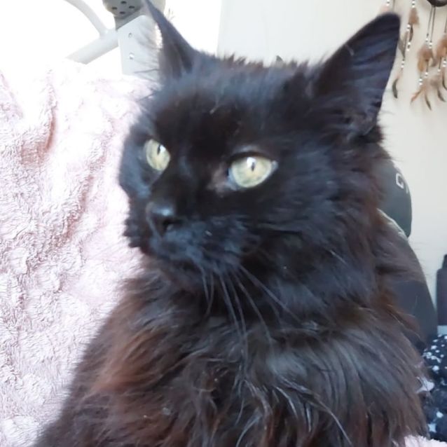 Photo of Thelma And Louise