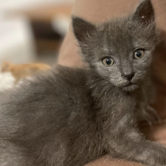 Photo of Smokey And Cole