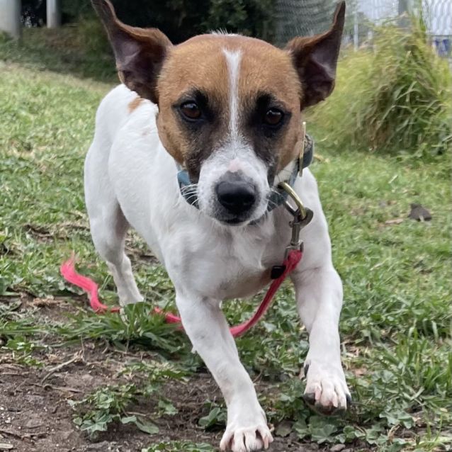 Photo of Jimmy (61612)