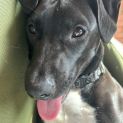 Photo of Snugglebum