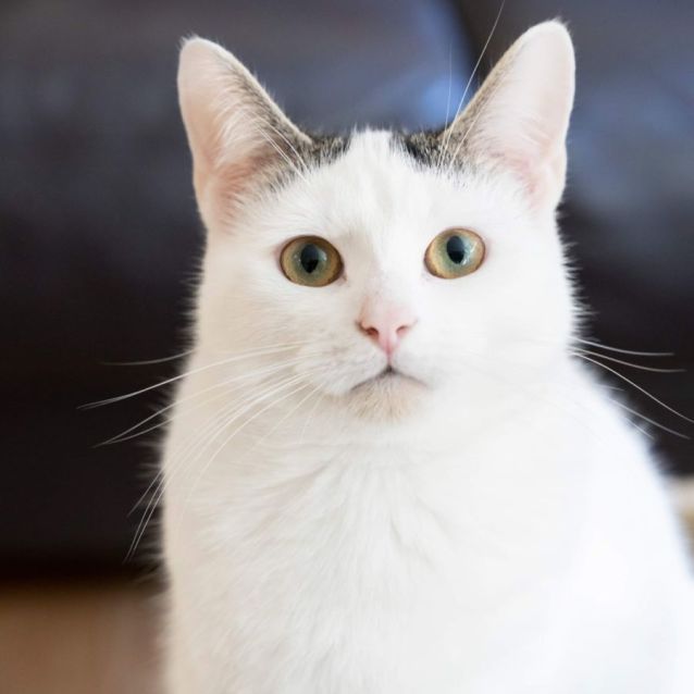 Photo of 💜 Calvin 💜