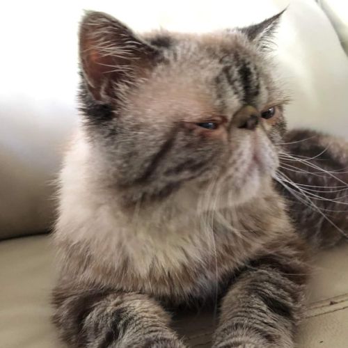 Sir Winston Churchill