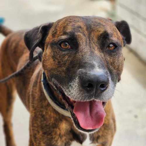 🛶 Laszlo 5824 🛶