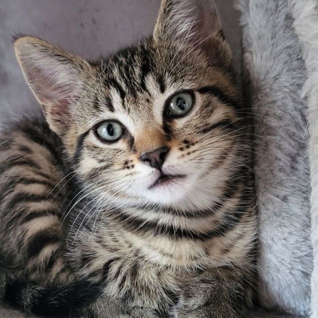 Photo of Larry 