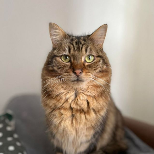 Photo of Amelia