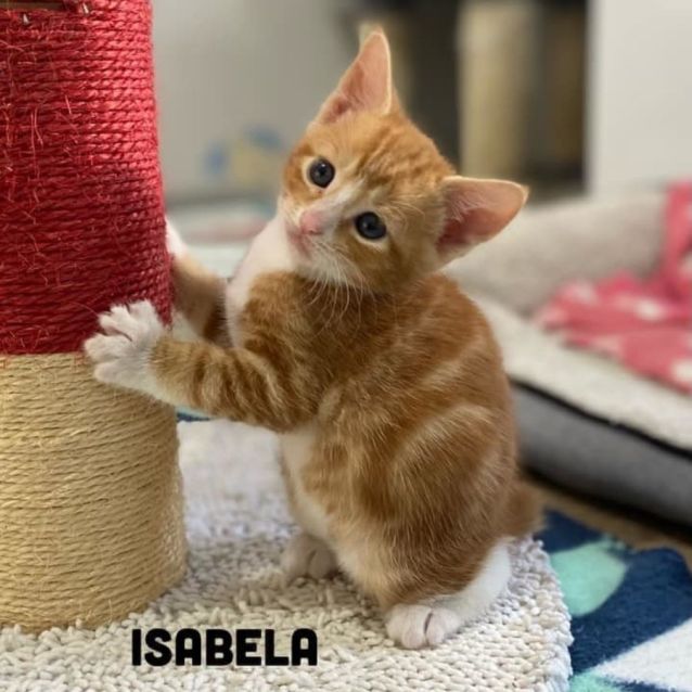 Photo of Isabela