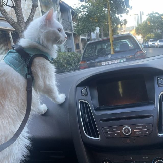 Photo of Andy & Mouth