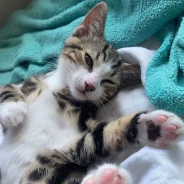 Photo of Hugo And Harriet