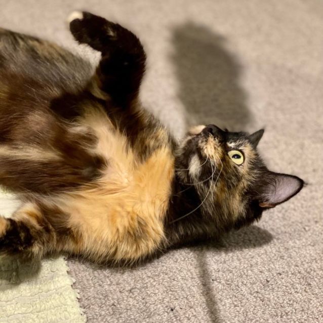 Photo of Tui (Located In Docklands)