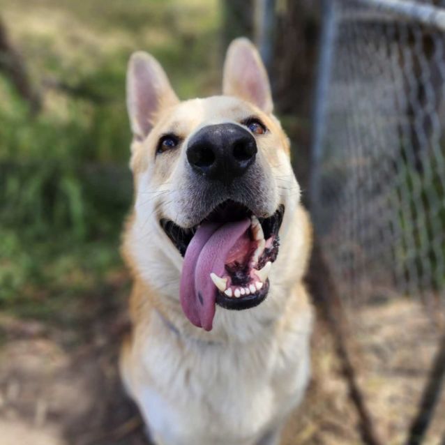 Photo of 🌿 Hugo C04795 🌿