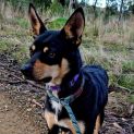 Photo of Zoe
