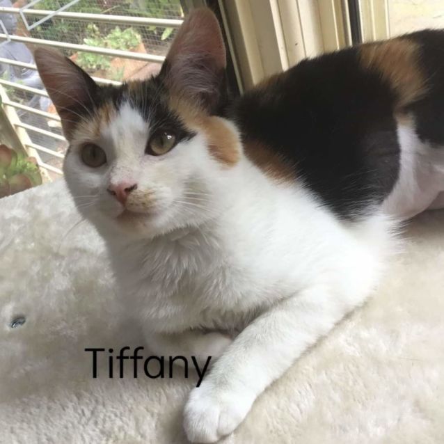 Photo of Matilda And Tiffany