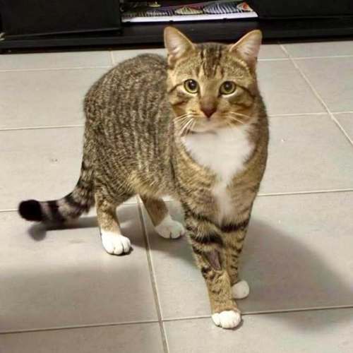 Sammy