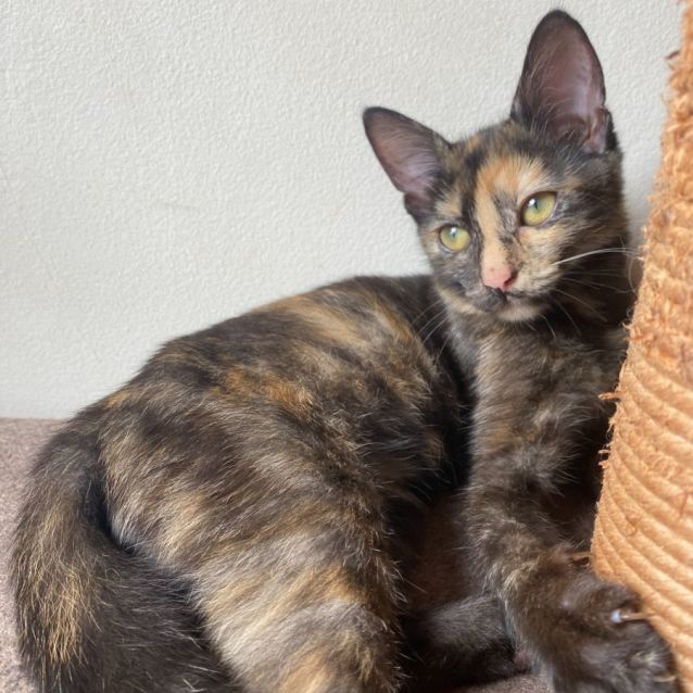 Photo of Harley