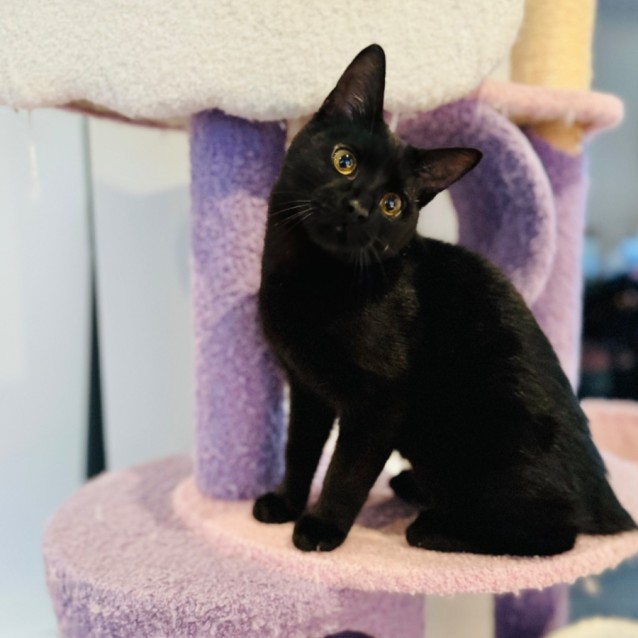 Photo of Fantastic Fudge