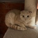 Photo of Suki
