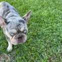 Photo of Chappo