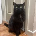 Photo of Duchess