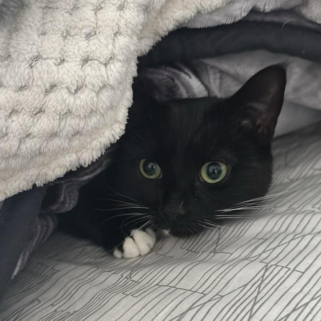 Photo of Mica 🌸🌸🌸