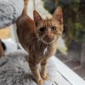 Photo of Marlow